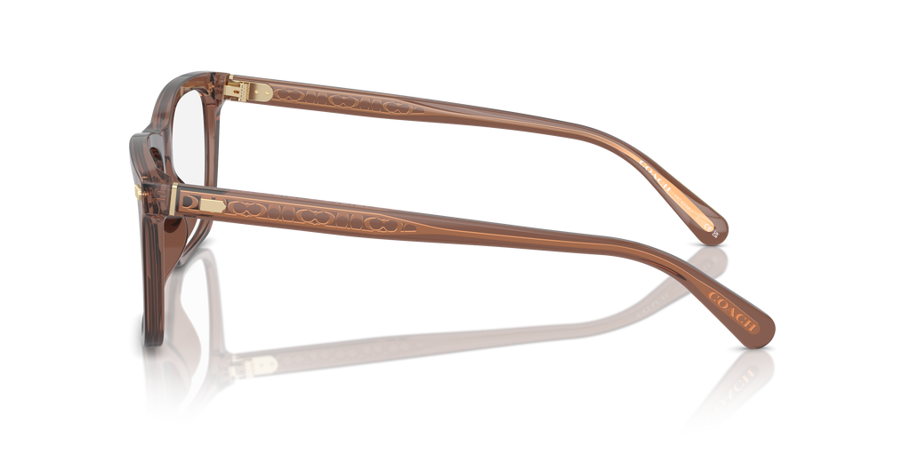 Coach HC6238U Square Eyeglasses - Transparent Pecan