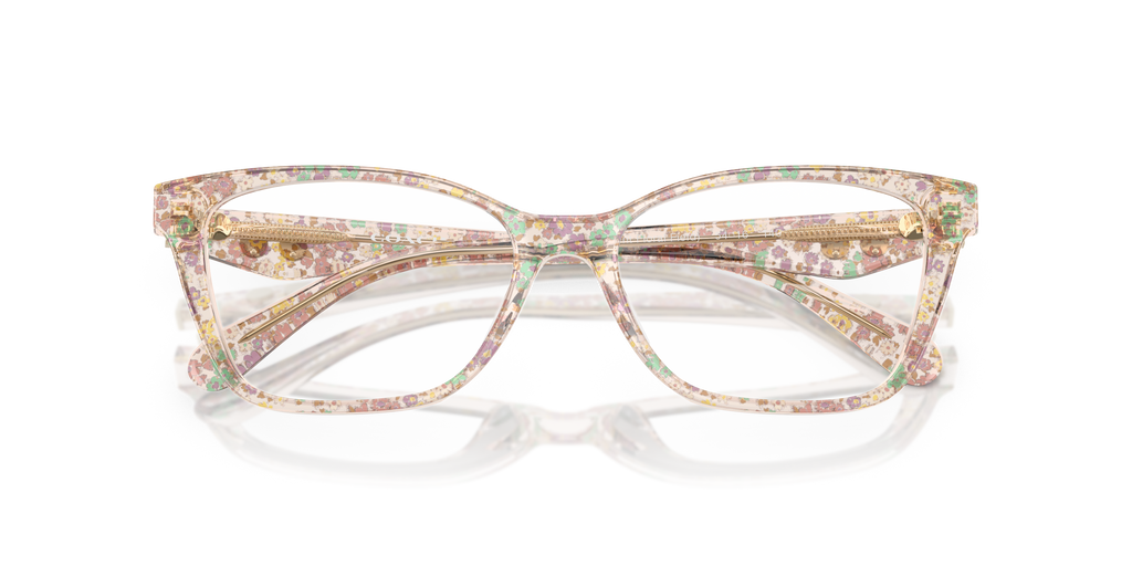 Coach HC6248U Cat Eye Eyeglasses - Transparent Floral Field