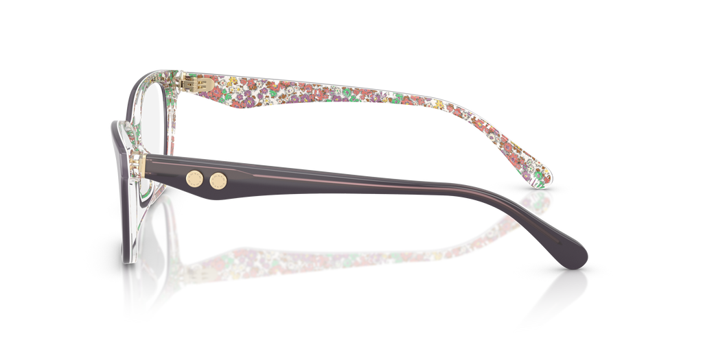 Coach HC6248U Cat Eye Eyeglasses - Transparent Floral Field