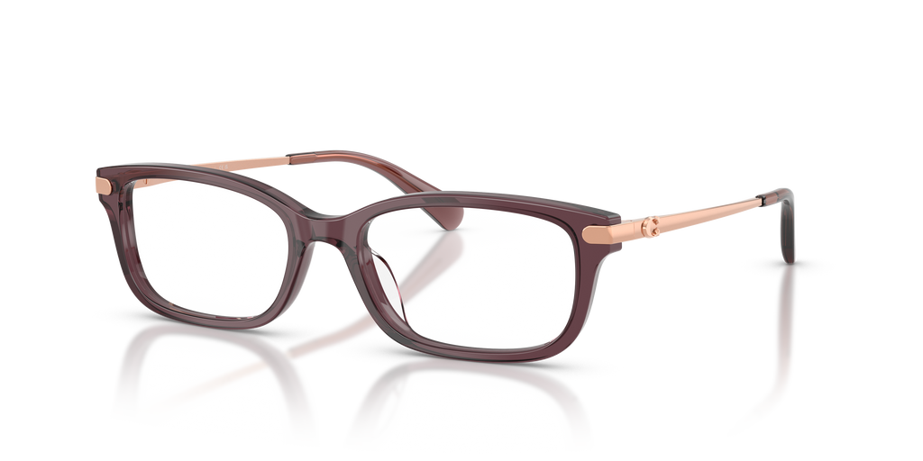 Coach HC6287U Rectangle Eyeglasses - Transparent Iris