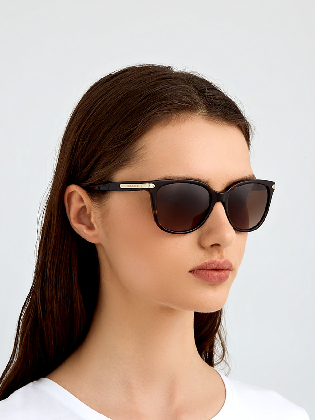 Coach HC8132 L109 Cat Eye Sunglasses