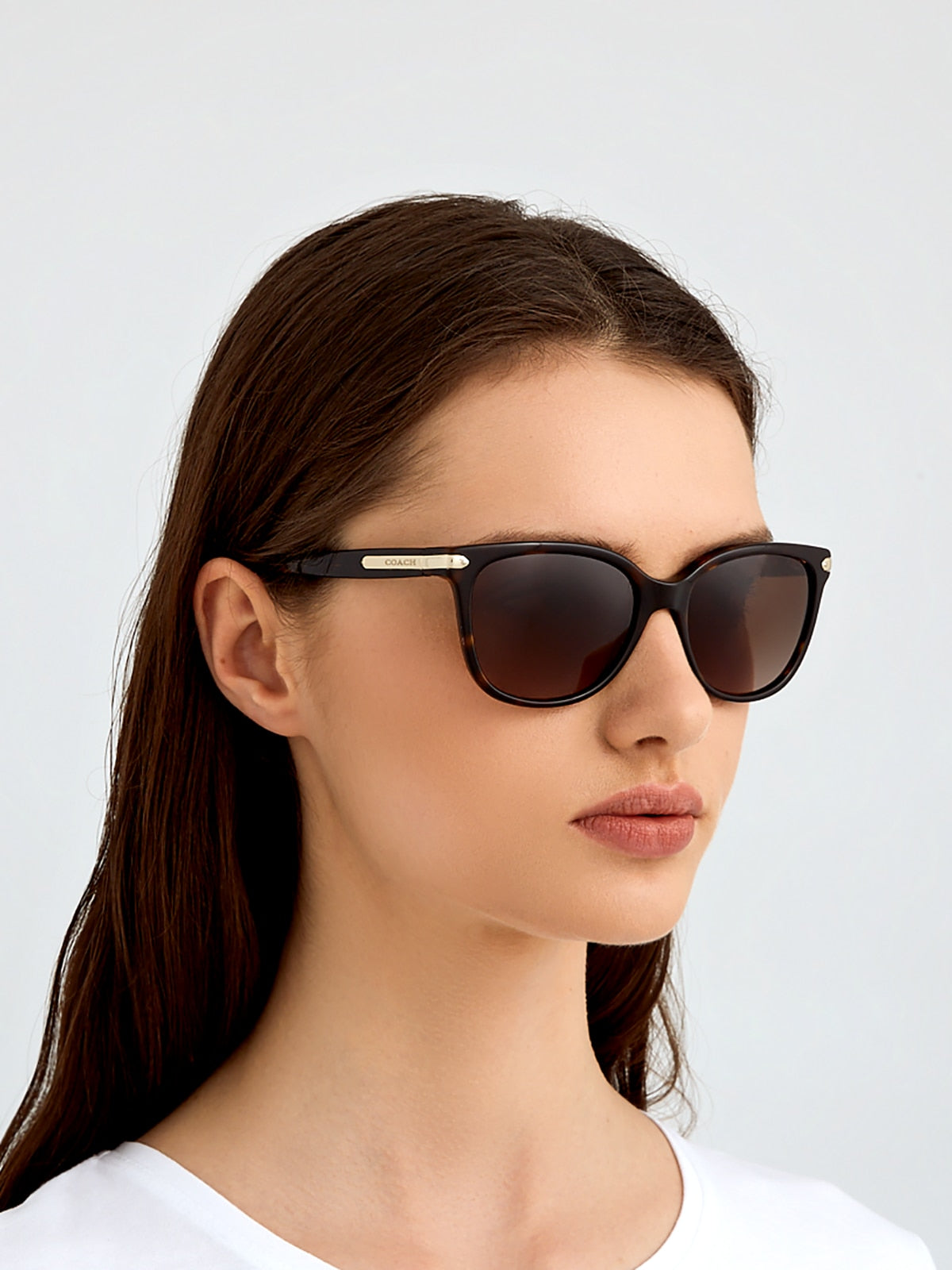 Coach HC8132 L109 Cat Eye Sunglasses