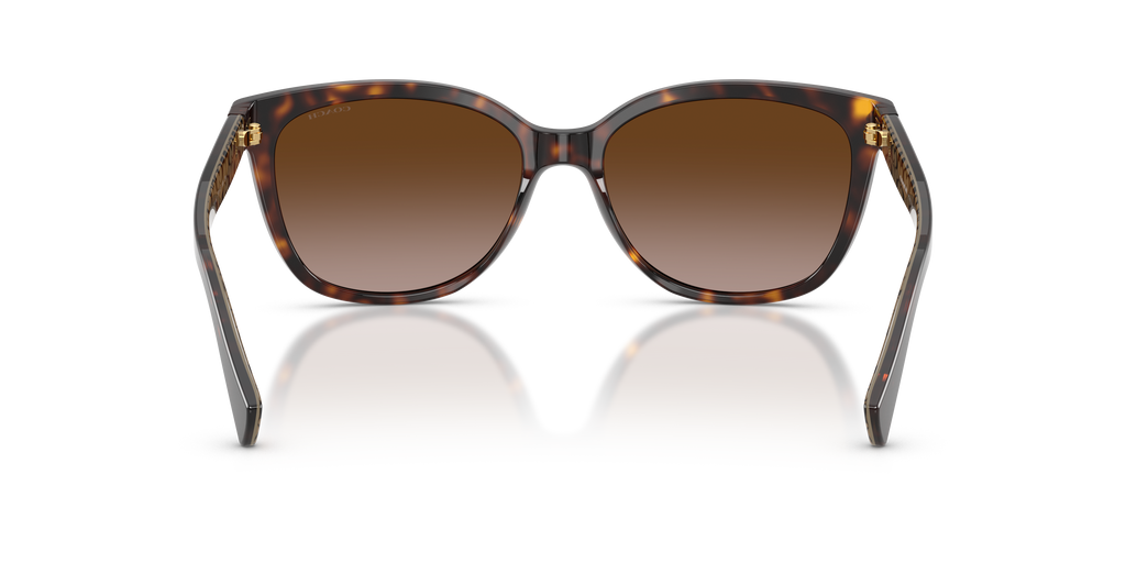 Coach HC8132 L109 Cat Eye Sunglasses