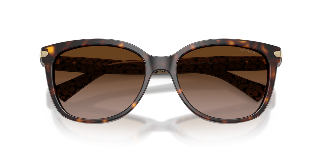 Coach HC8132 L109 Cat Eye Sunglasses