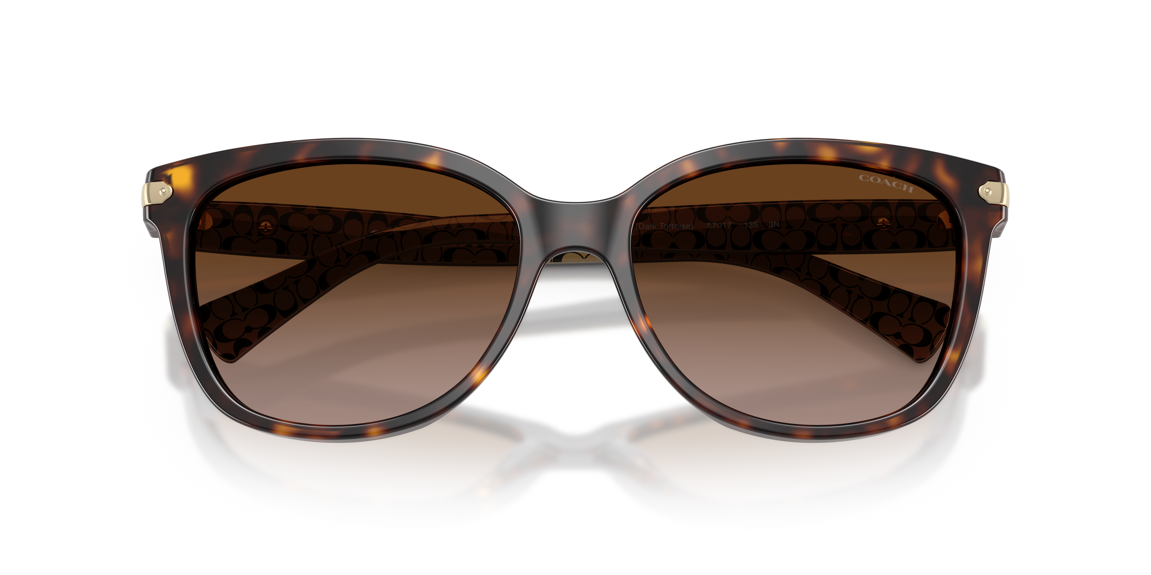 Coach HC8132 L109 Cat Eye Sunglasses
