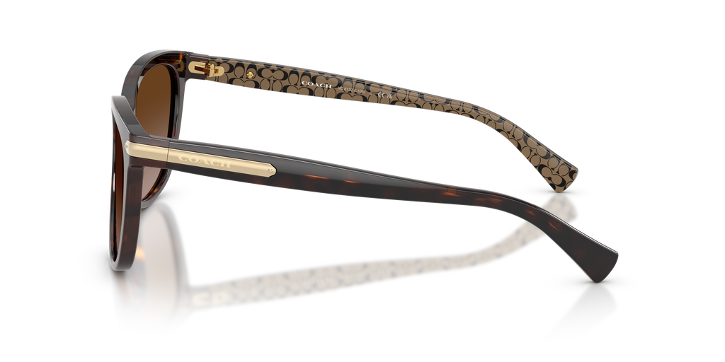 Coach HC8132 L109 Cat Eye Sunglasses