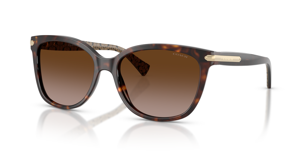 Coach HC8132 L109 Cat Eye Sunglasses