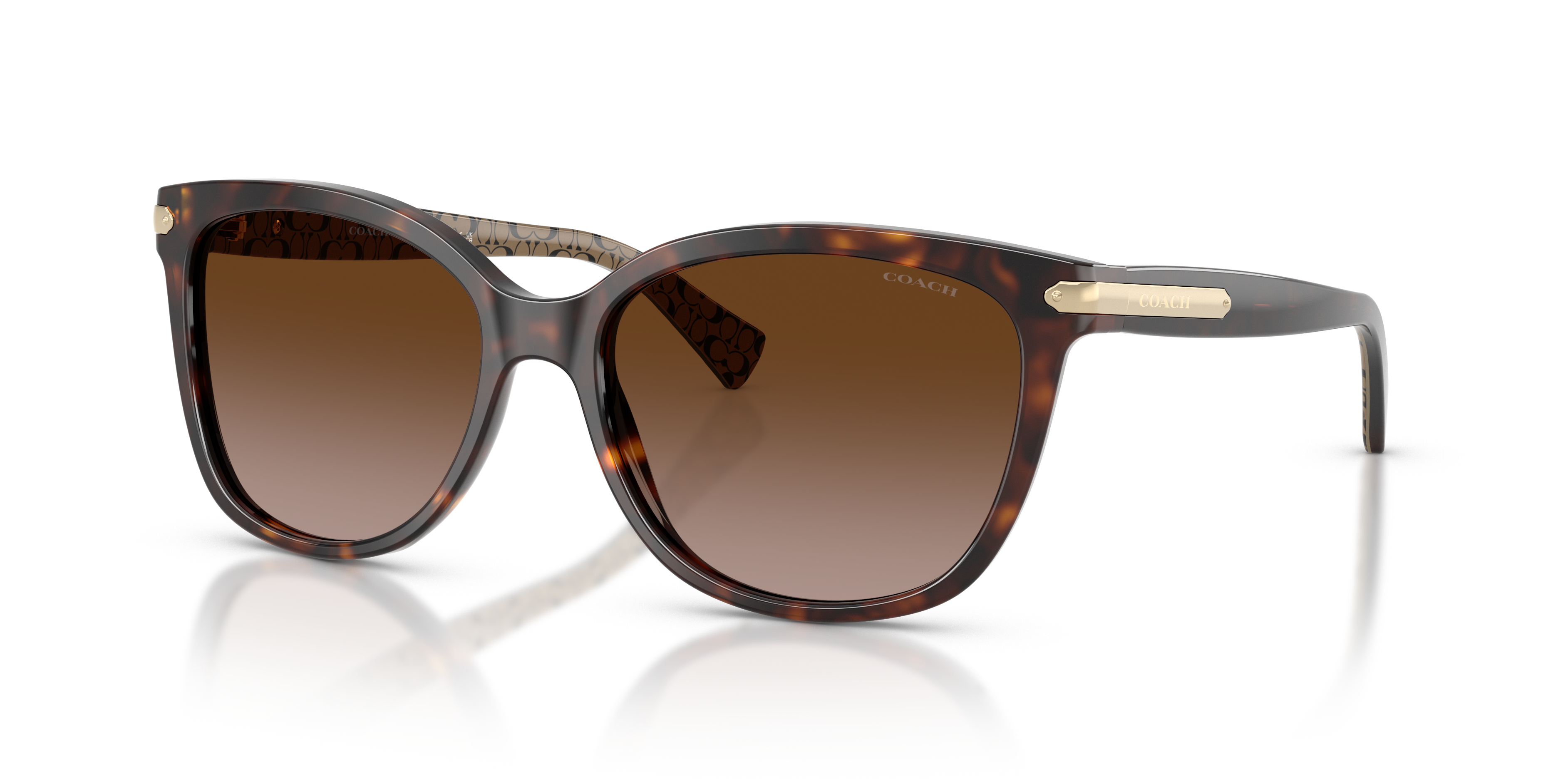 Coach HC8132 L109 Cat Eye Sunglasses