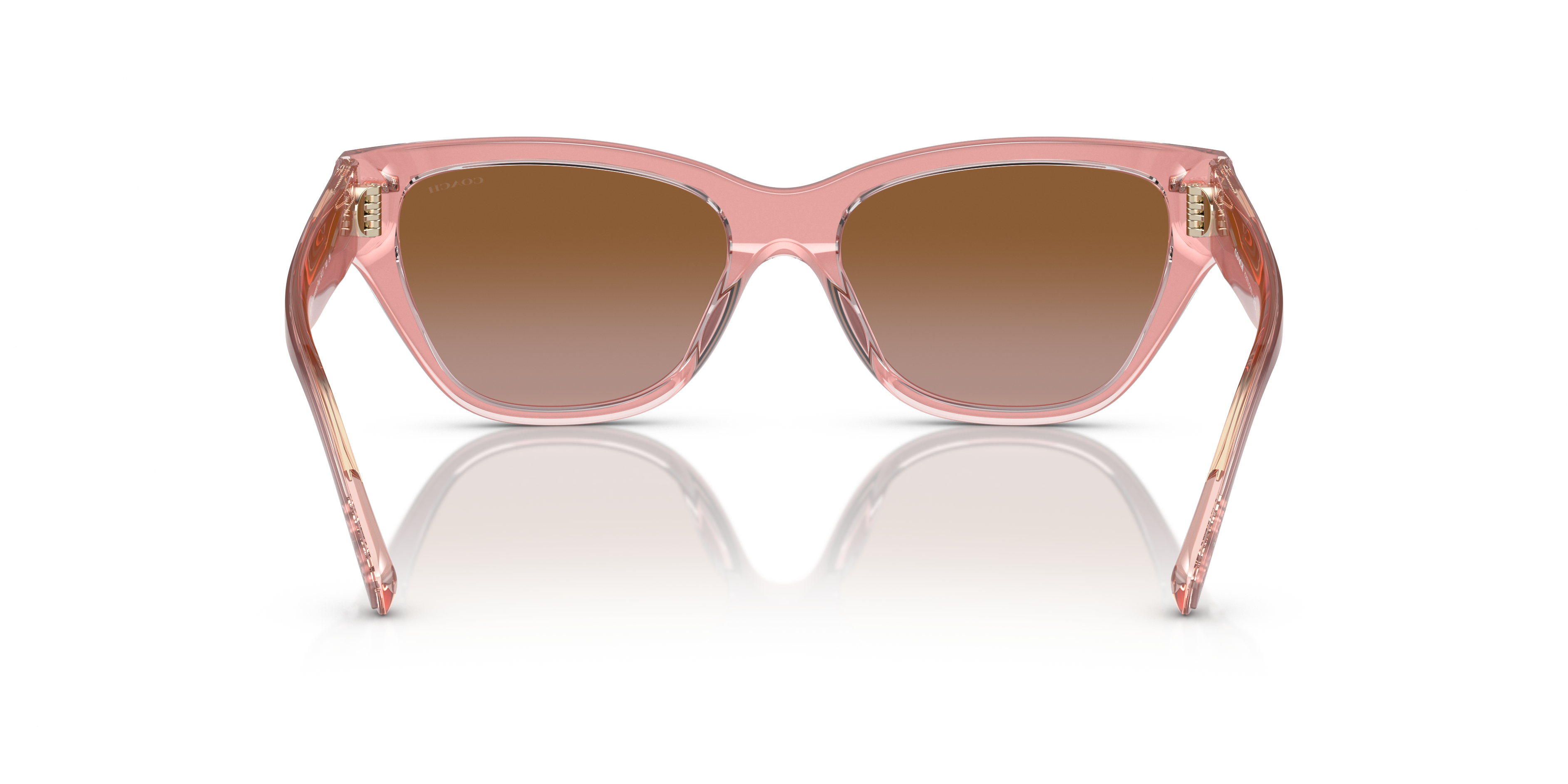 Coach HC8370U CH570 Cat Eye Sunglasses
