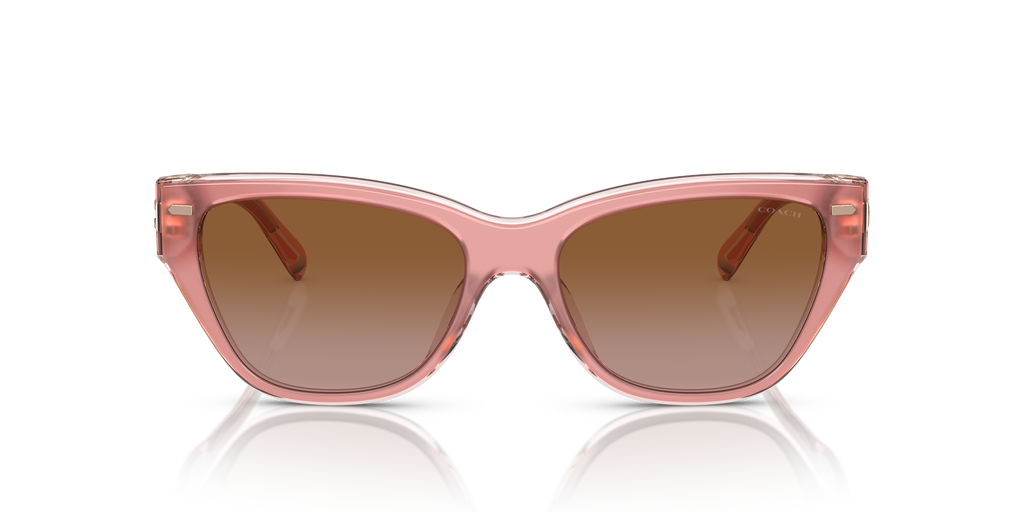 Coach HC8370U CH570 Cat Eye Sunglasses