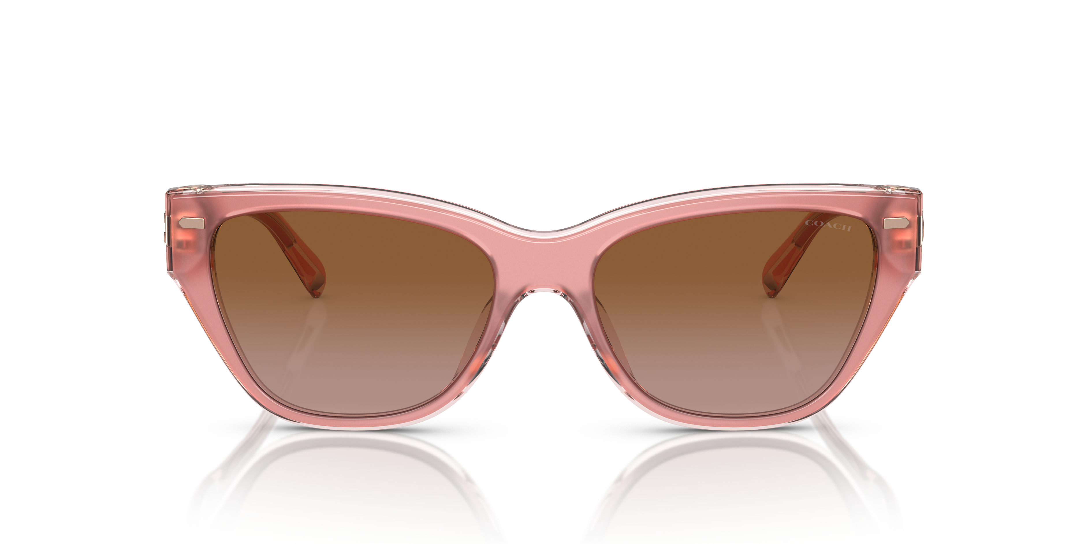 Coach HC8370U CH570 Cat Eye Sunglasses