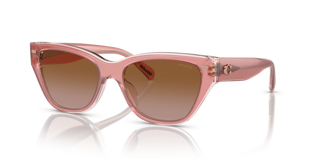 Coach HC8370U CH570 Cat Eye Sunglasses