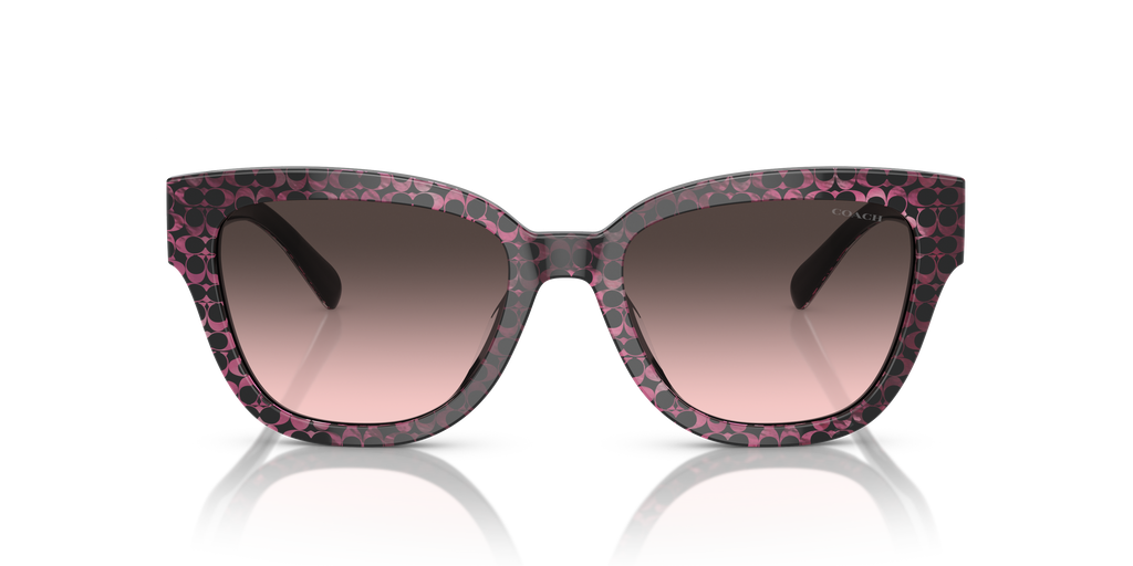 Coach HC8379U CL920 Butterfly Sunglasses - Grey Pearl Signature C