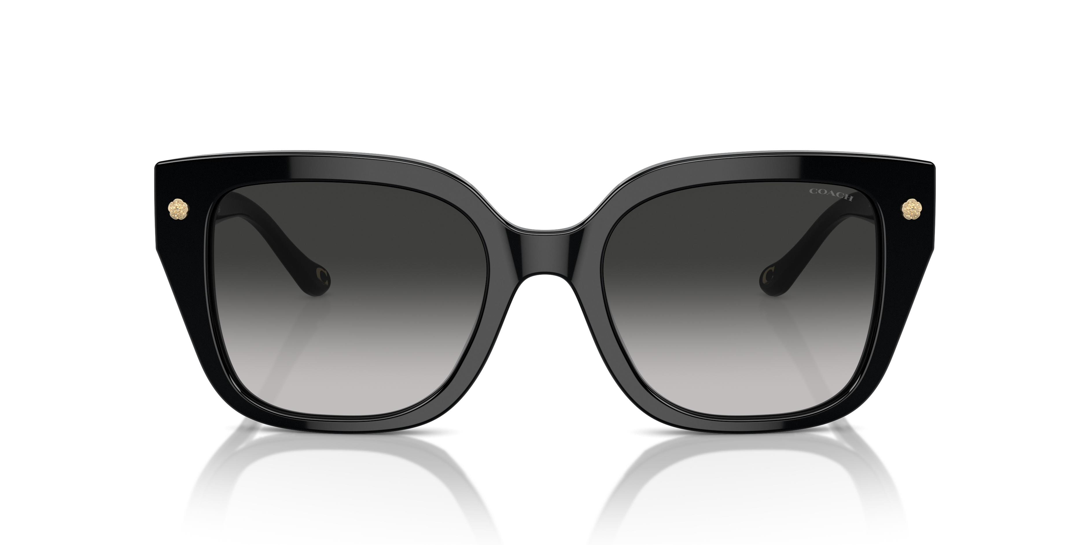 Coach HC8392U CR611 Square Sunglasses