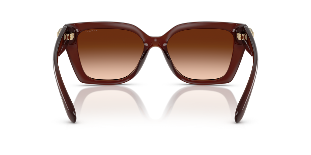 Coach HC8408U CW195 Square Sunglasses - Milky Hazelnut
