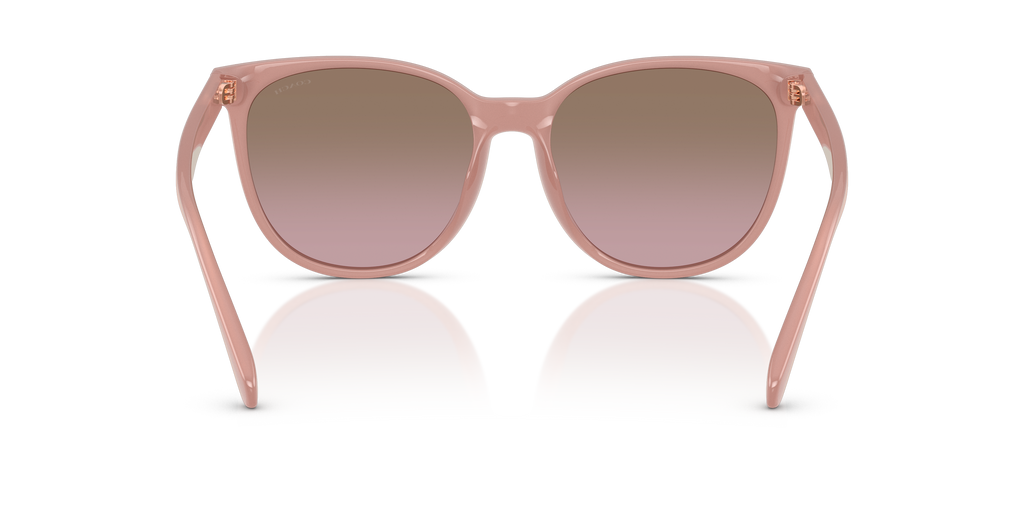 Coach HC8414BD CW428 Round Sunglasses - Milky Buff