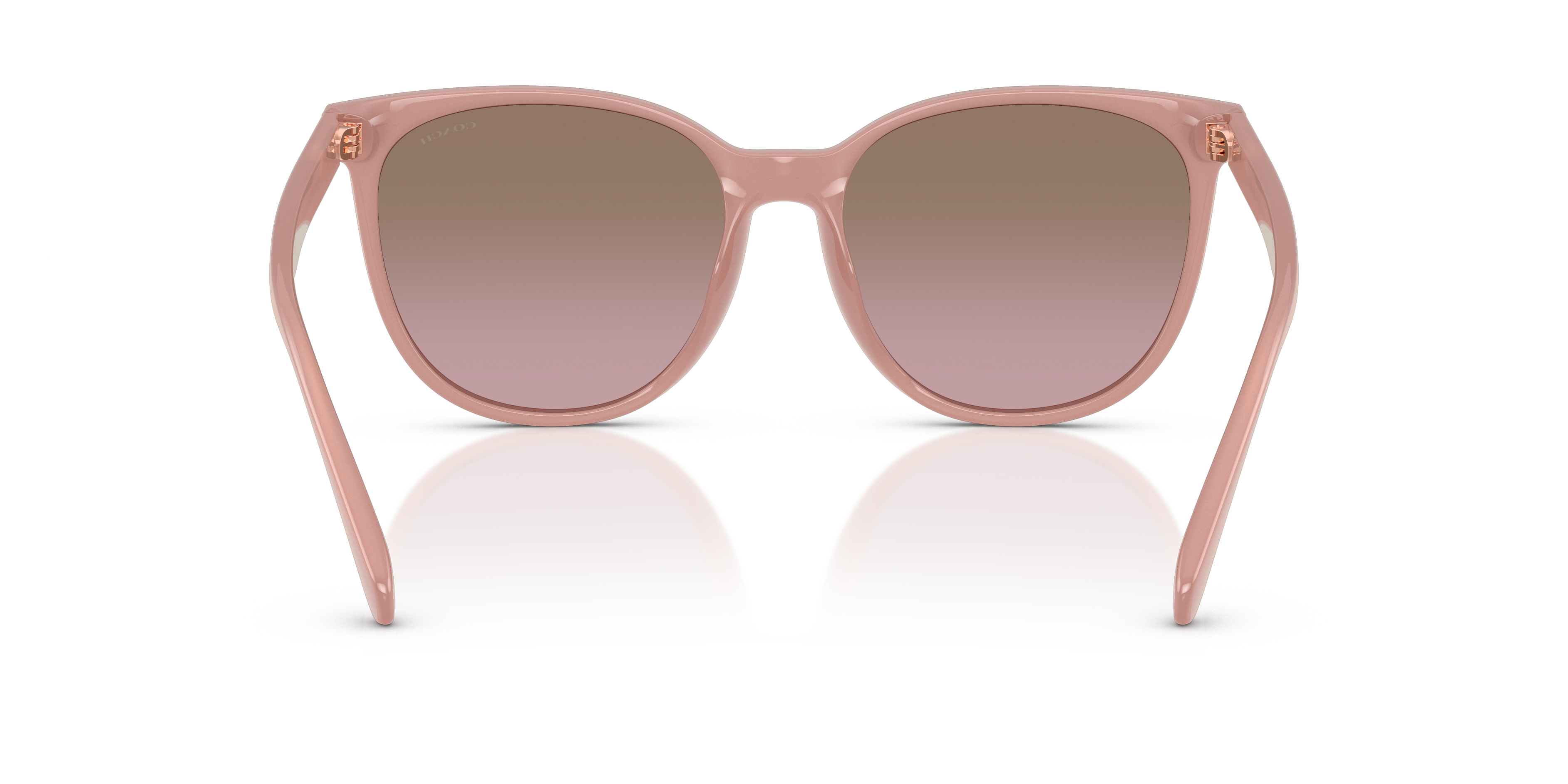 Coach HC8414BD CW428 Round Sunglasses - Milky Amber