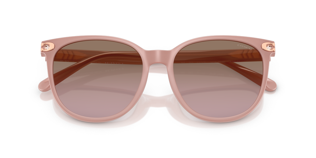 Coach HC8414BD CW428 Round Sunglasses - Milky Buff