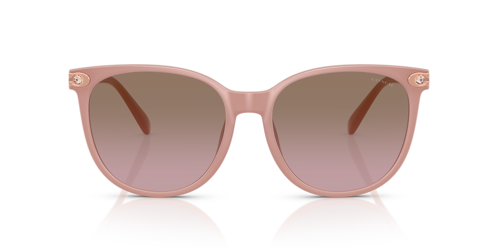 Coach HC8414BD CW428 Round Sunglasses - Milky Amber