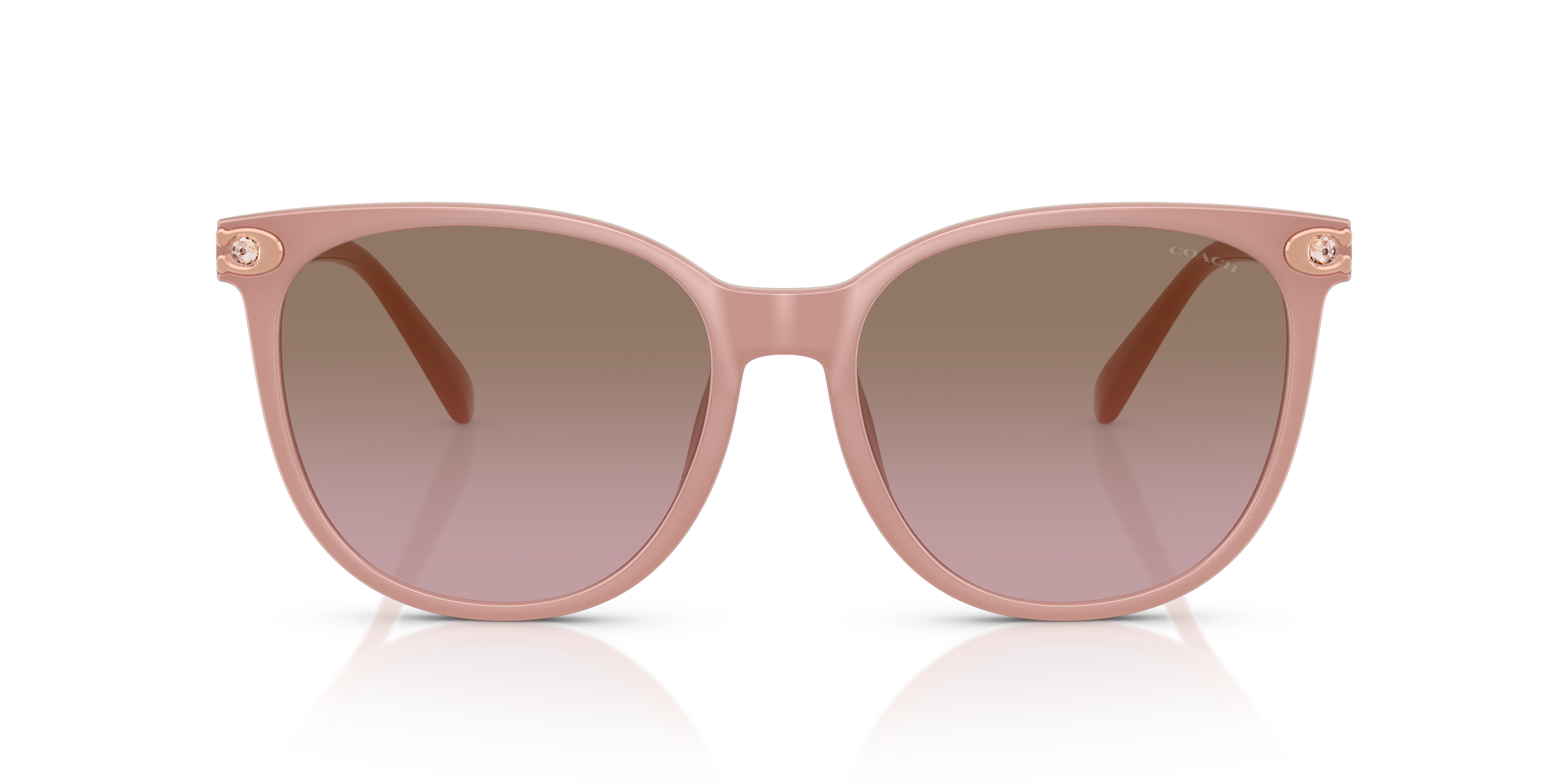 Coach HC8414BD CW428 Round Sunglasses - Milky Amber