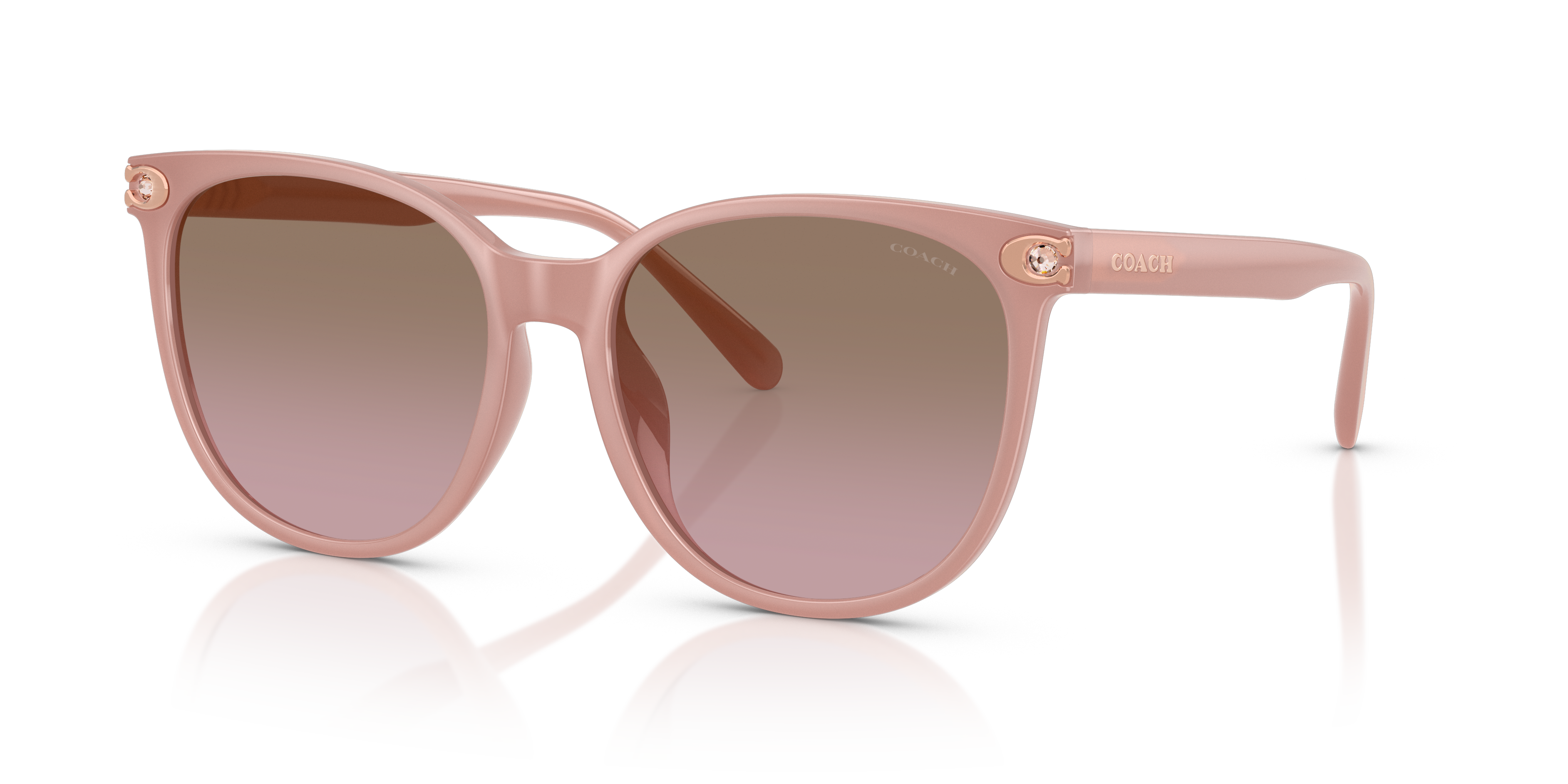 Coach HC8414BD CW428 Round Sunglasses - Milky Buff