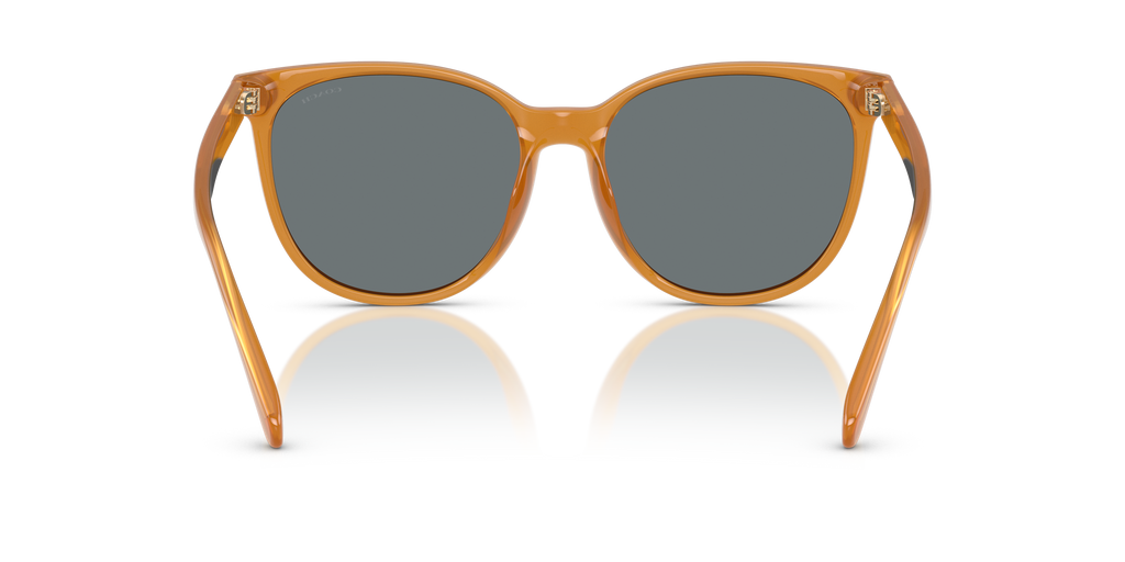 Coach HC8414BD CW428 Round Sunglasses - Milky Buff
