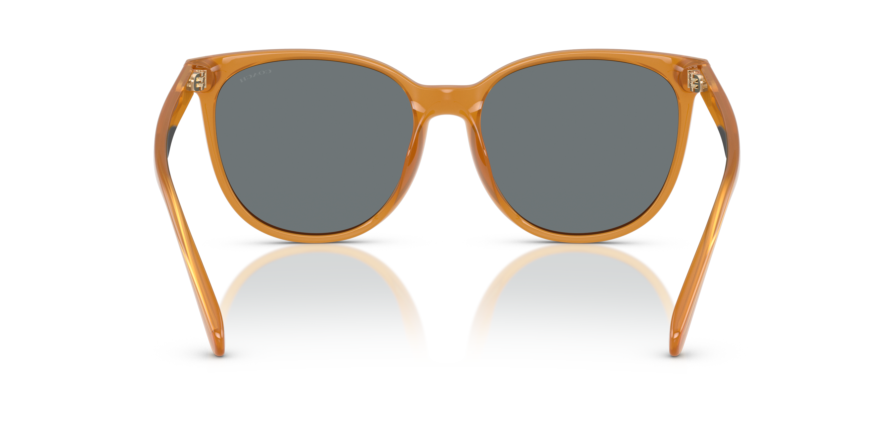 Coach HC8414BD CW428 Round Sunglasses - Milky Buff