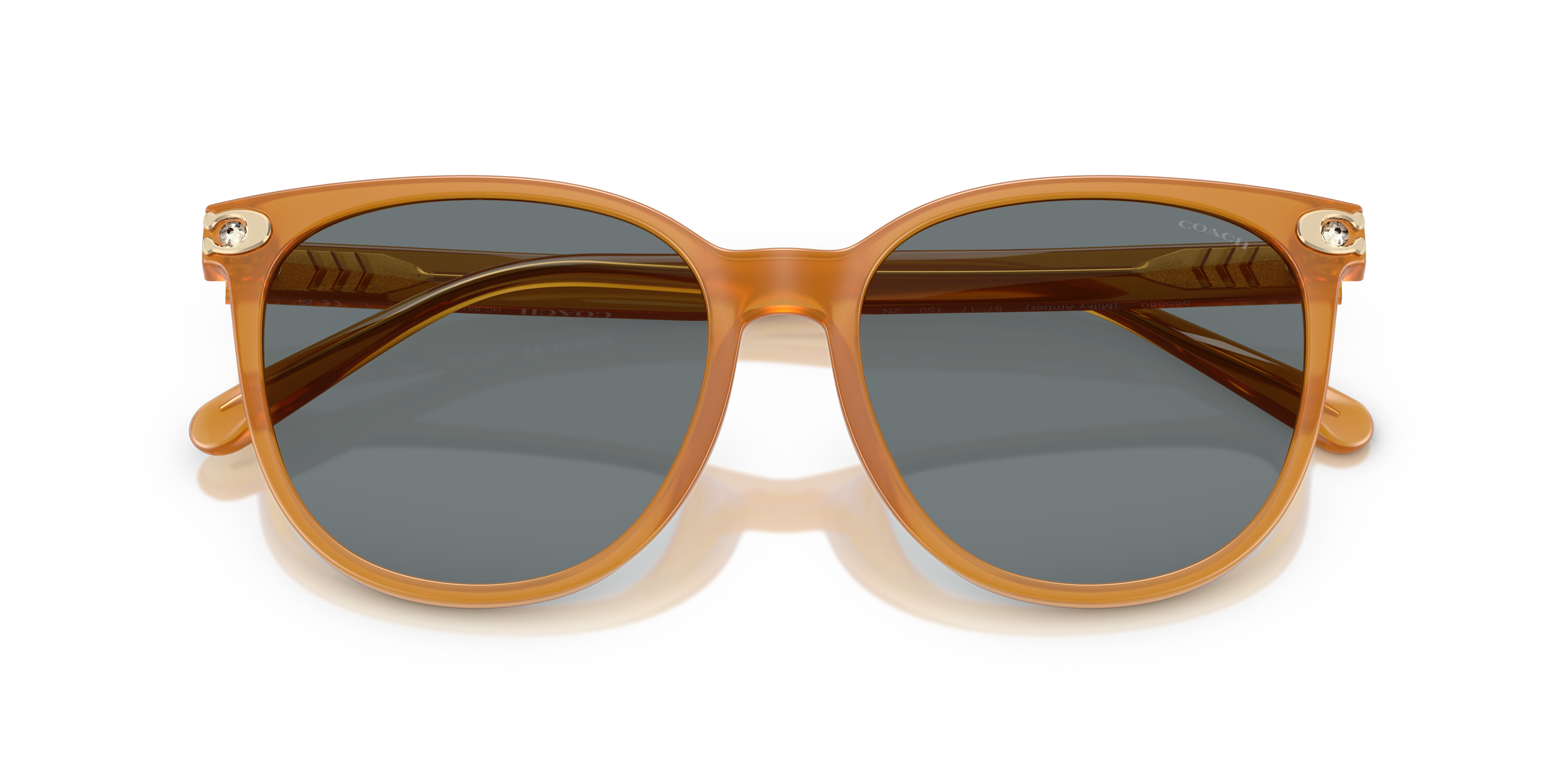 Coach HC8414BD CW428 Round Sunglasses - Milky Buff