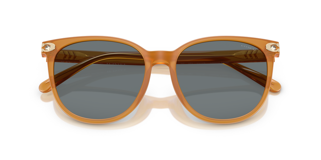 Coach HC8414BD CW428 Round Sunglasses - Milky Amber