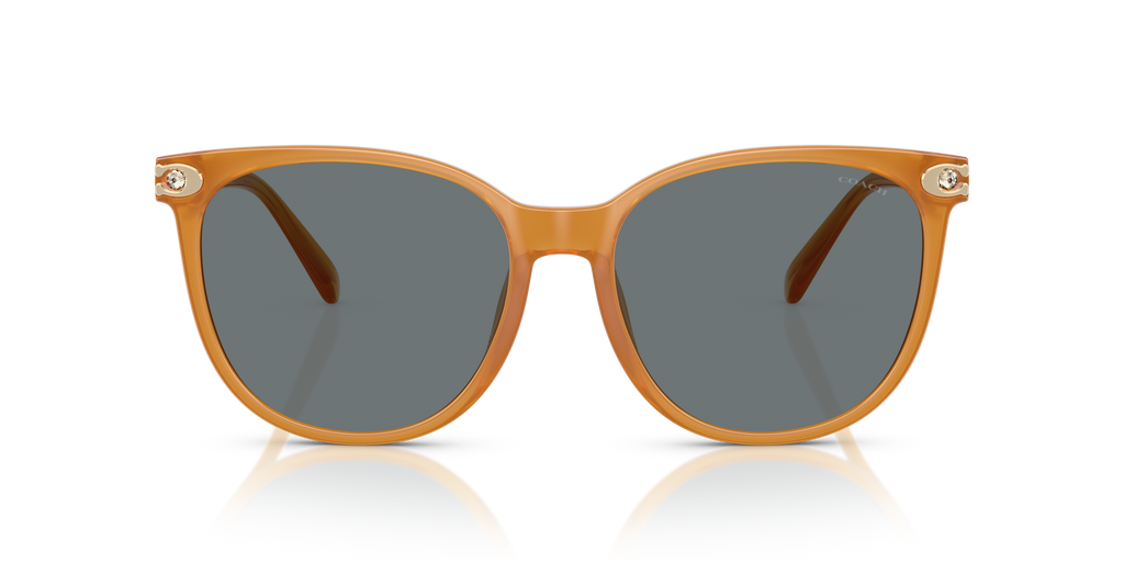 Coach HC8414BD CW428 Round Sunglasses - Milky Buff