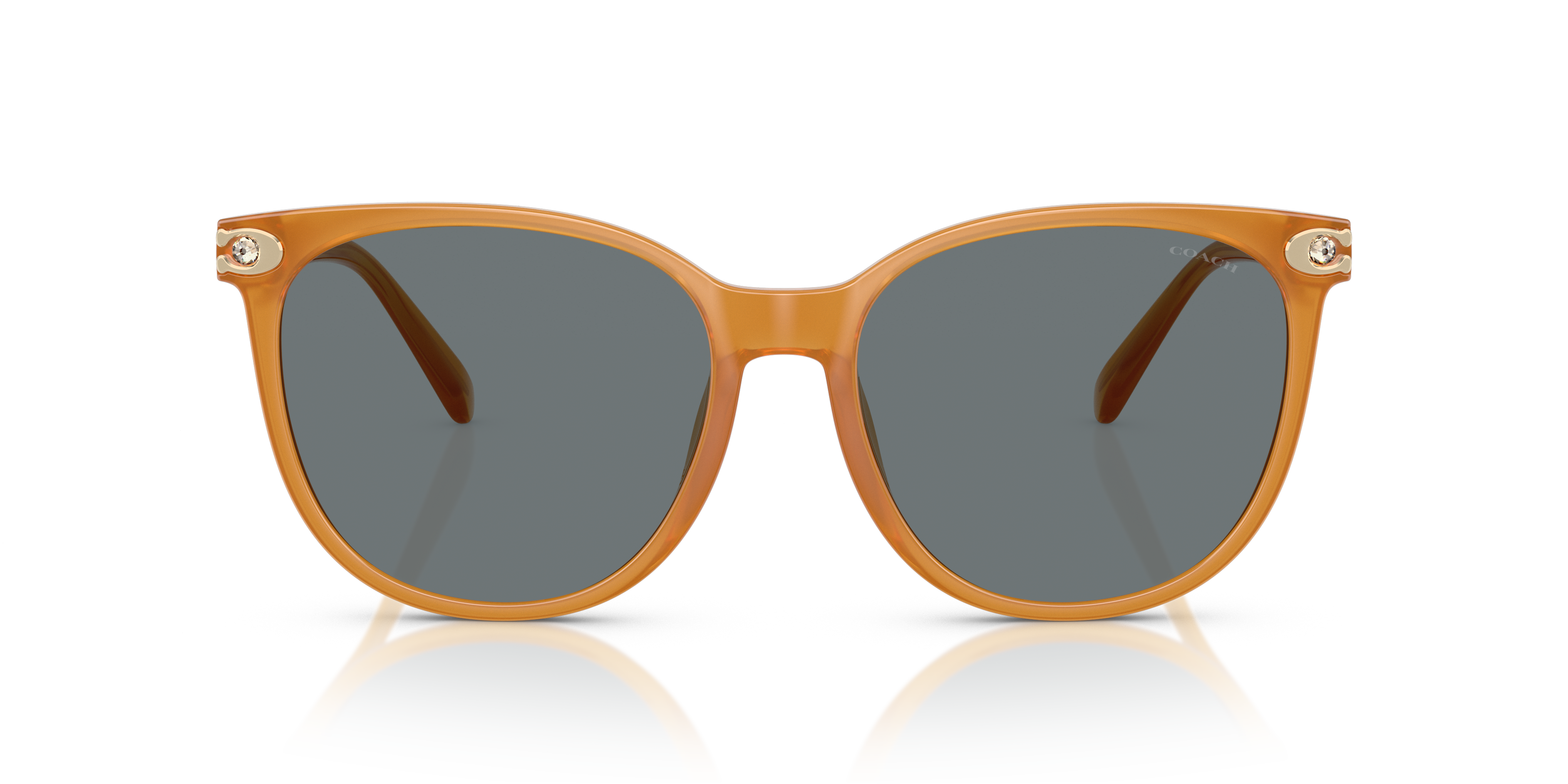 Coach HC8414BD CW428 Round Sunglasses - Milky Amber