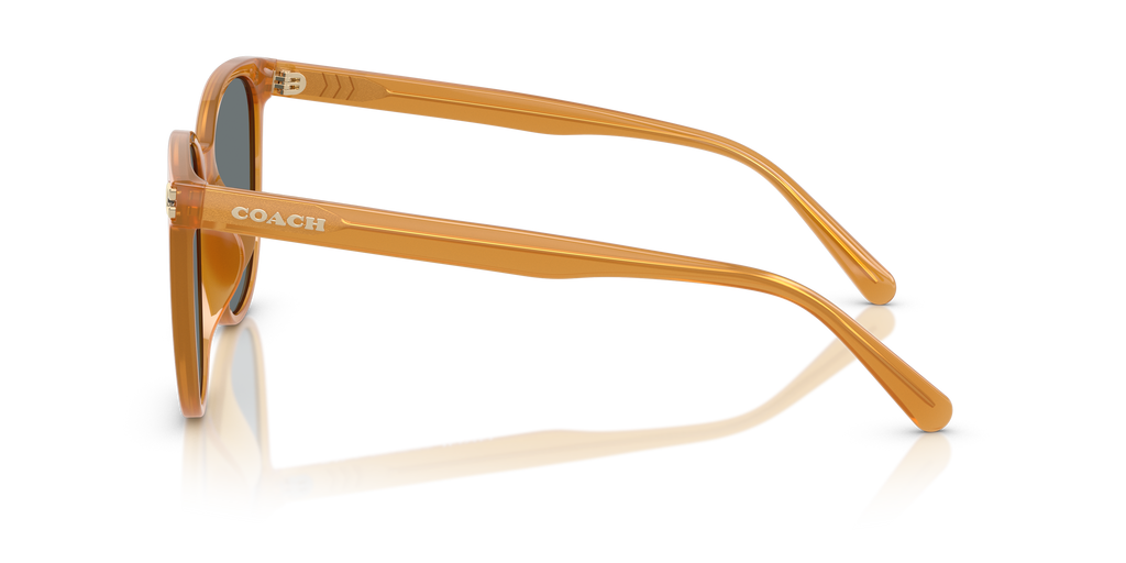 Coach HC8414BD CW428 Round Sunglasses - Milky Buff
