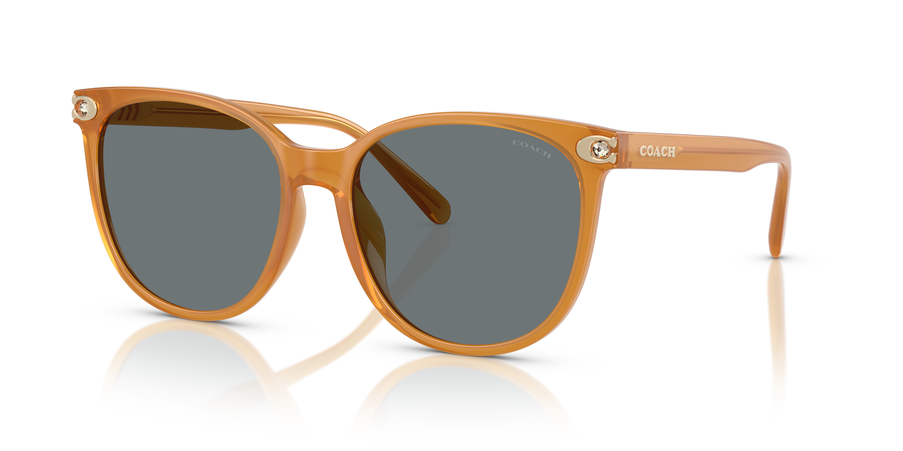 Coach HC8414BD CW428 Round Sunglasses - Milky Amber