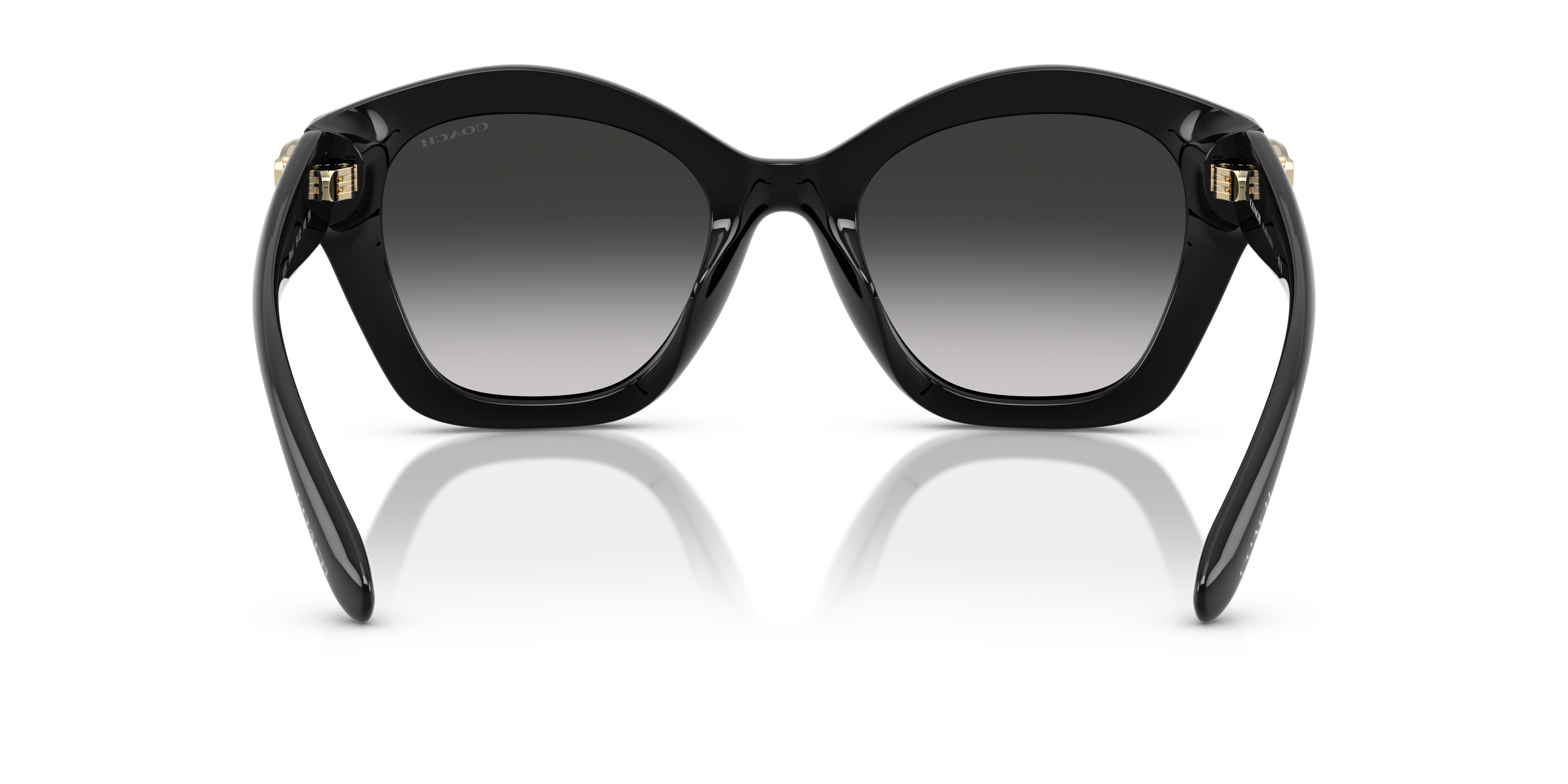 Coach HC8421U CAD31 Geometric Sunglasses - Milky Burgundy