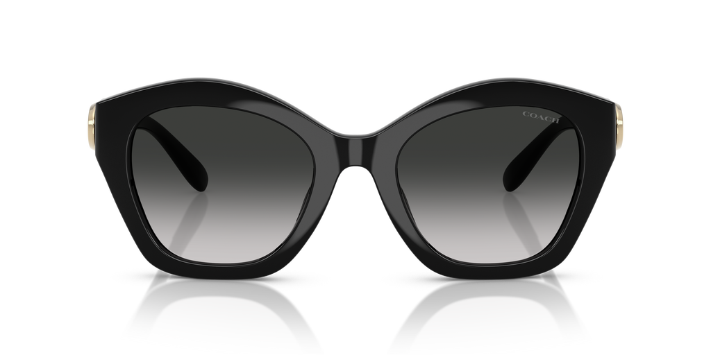 Coach HC8421U CAD31 Geometric Sunglasses - Milky Burgundy