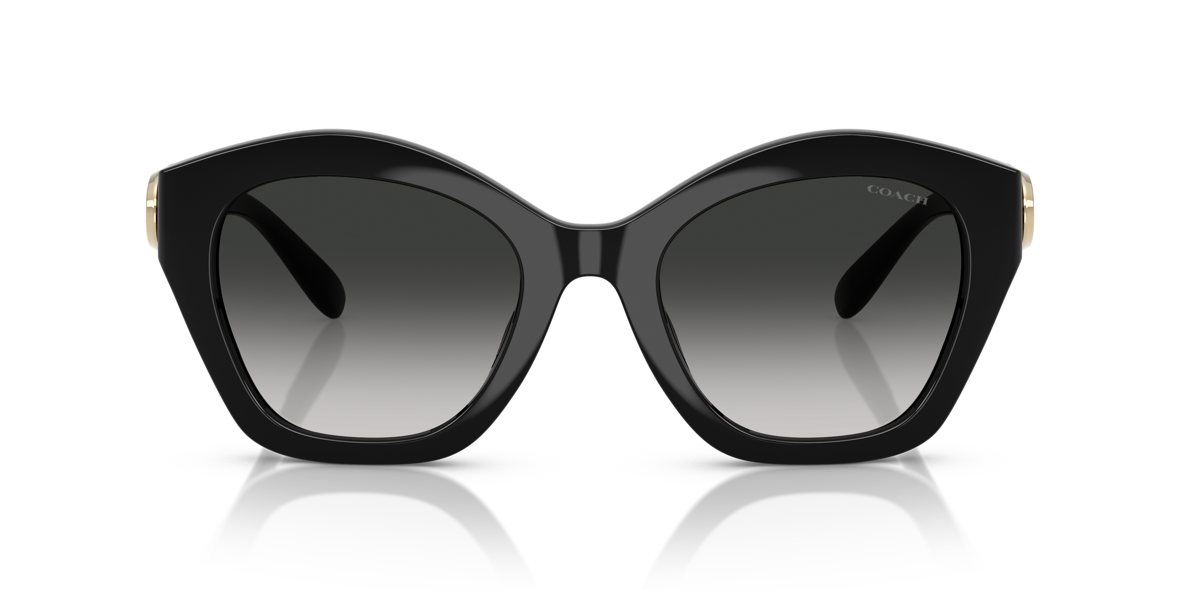 Coach HC8421U CAD31 Geometric Sunglasses - Milky Burgundy