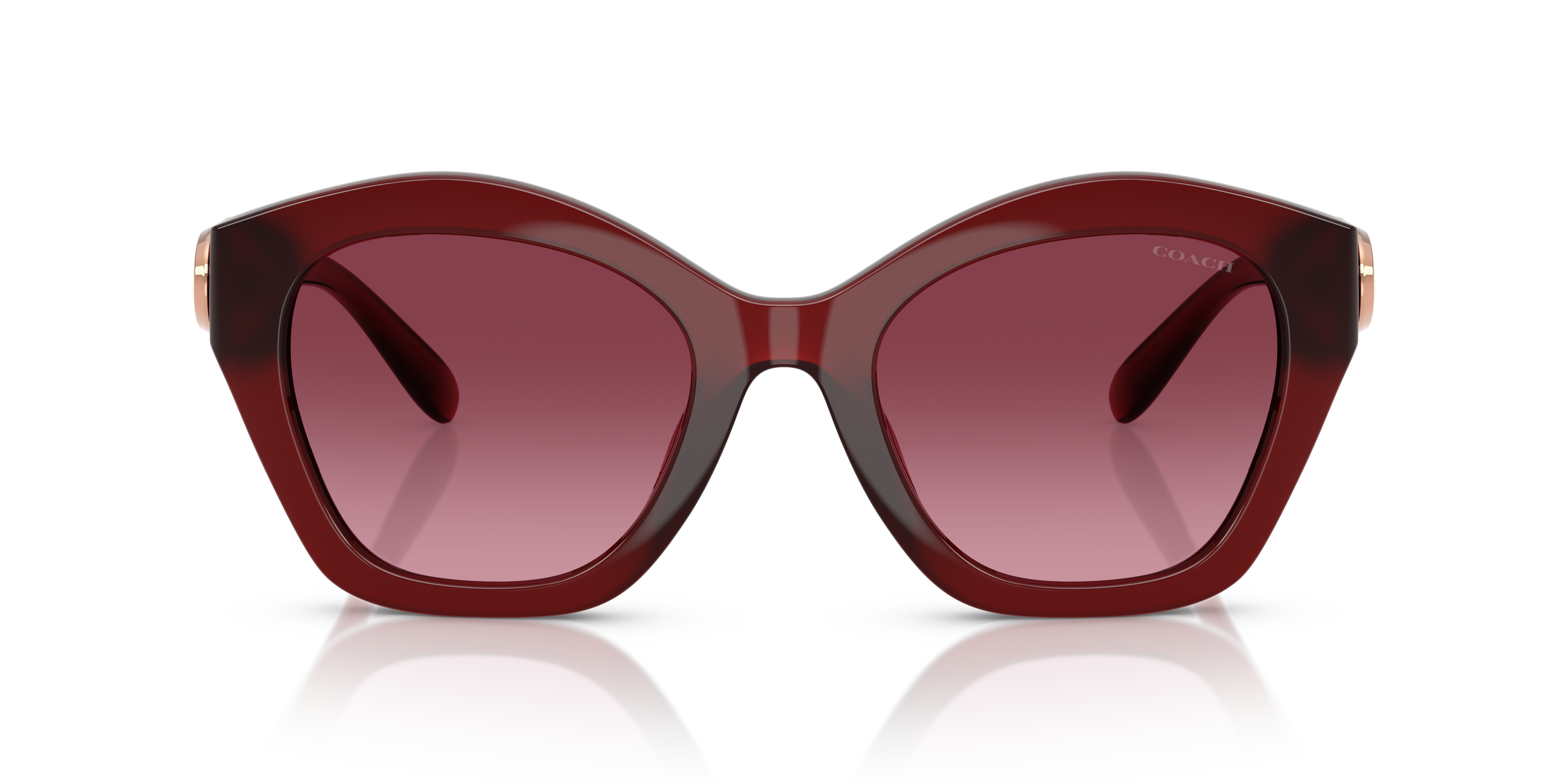 Coach HC8421U CAD31 Geometric Sunglasses - Black