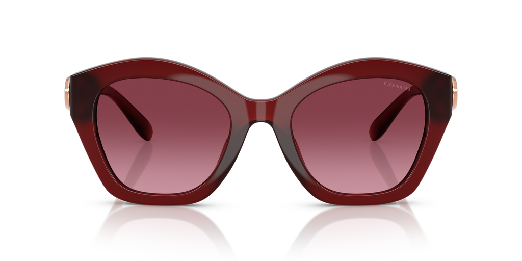 Coach HC8421U CAD31 Geometric Sunglasses - Milky Burgundy