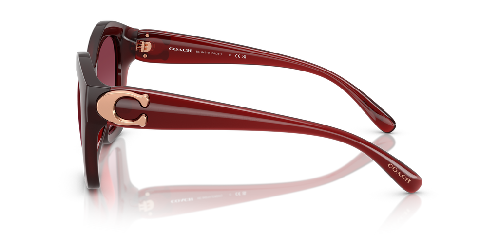 Coach HC8421U CAD31 Geometric Sunglasses - Milky Burgundy