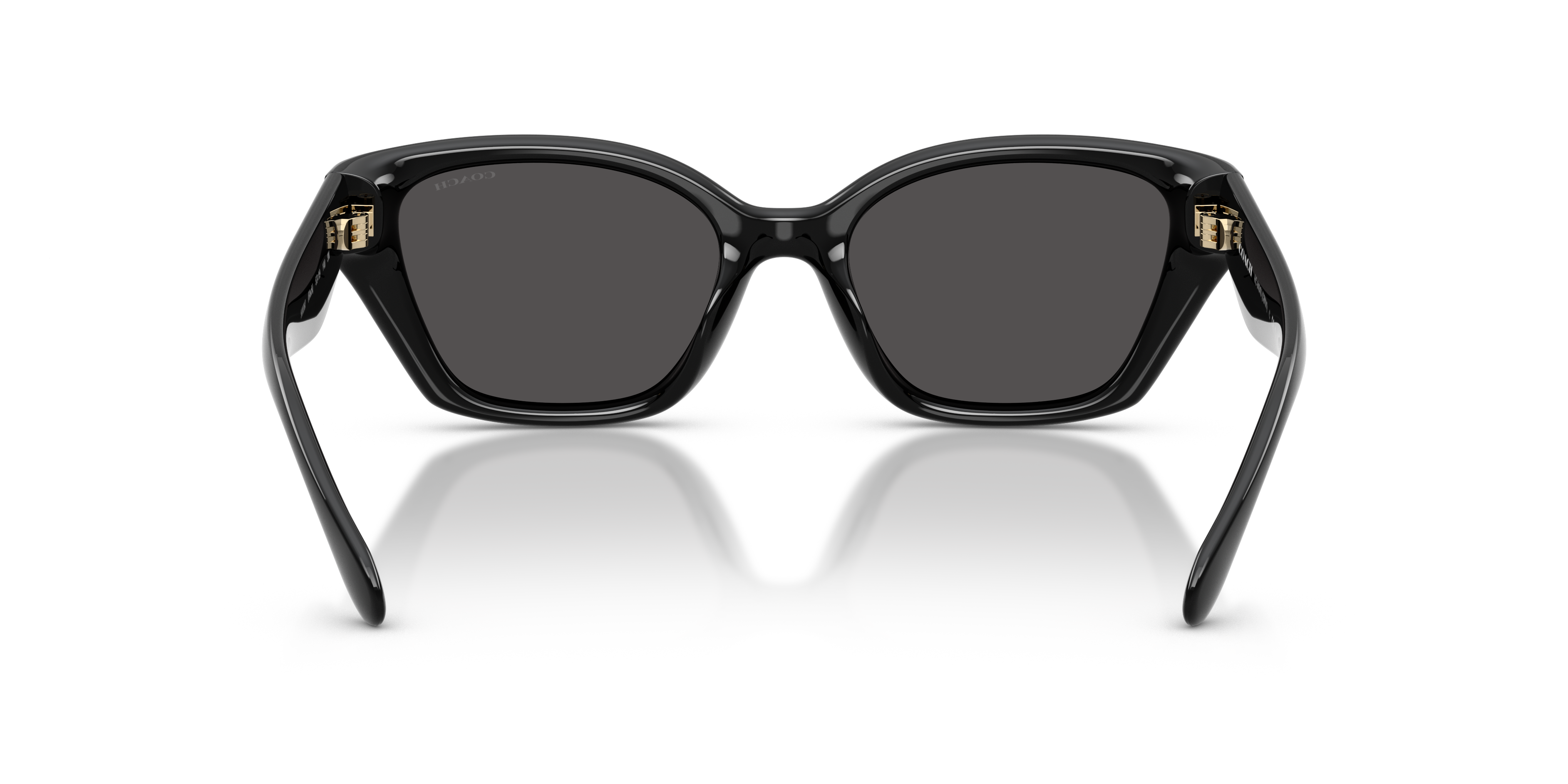 Coach HC8434U CBY91 Geometric Sunglasses - Milky Putty