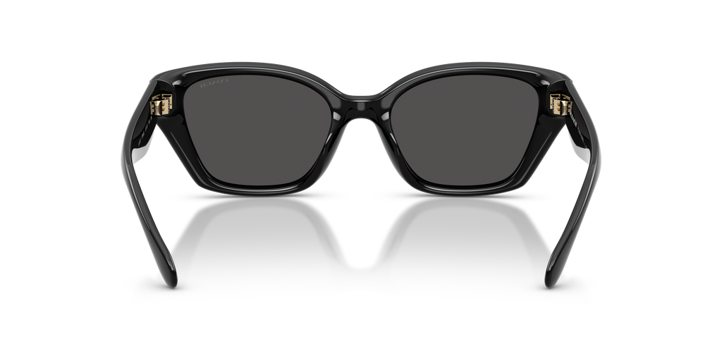 Coach HC8434U CBY91 Geometric Sunglasses - Black