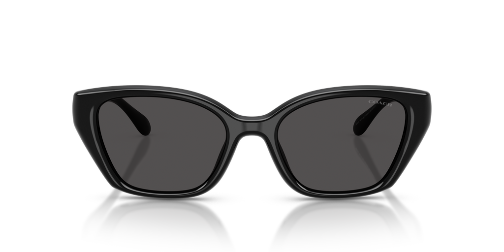 Coach HC8434U CBY91 Geometric Sunglasses - Milky Putty