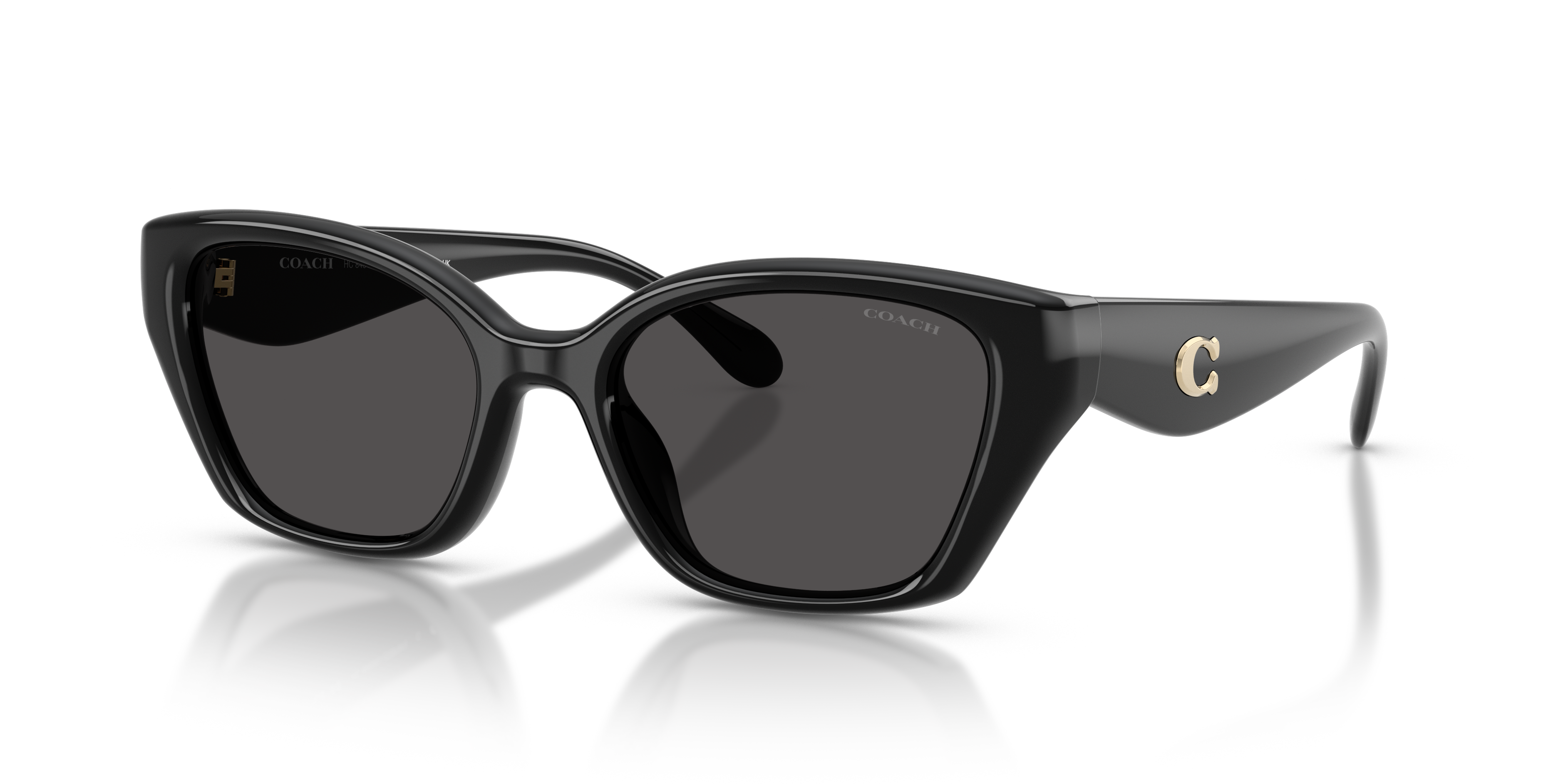 Coach HC8434U CBY91 Geometric Sunglasses - Black