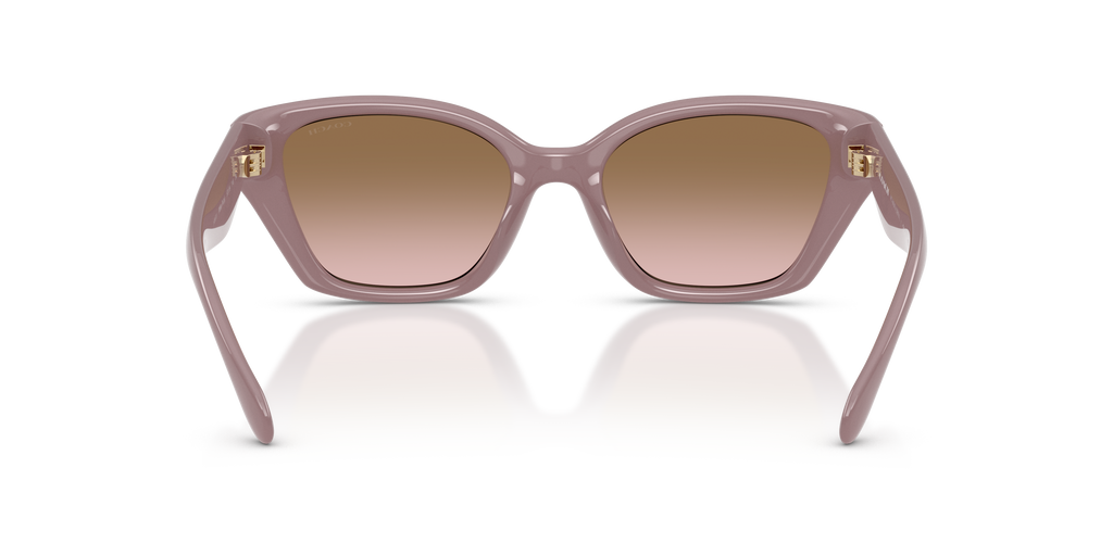 Coach HC8434U CBY91 Geometric Sunglasses - Black