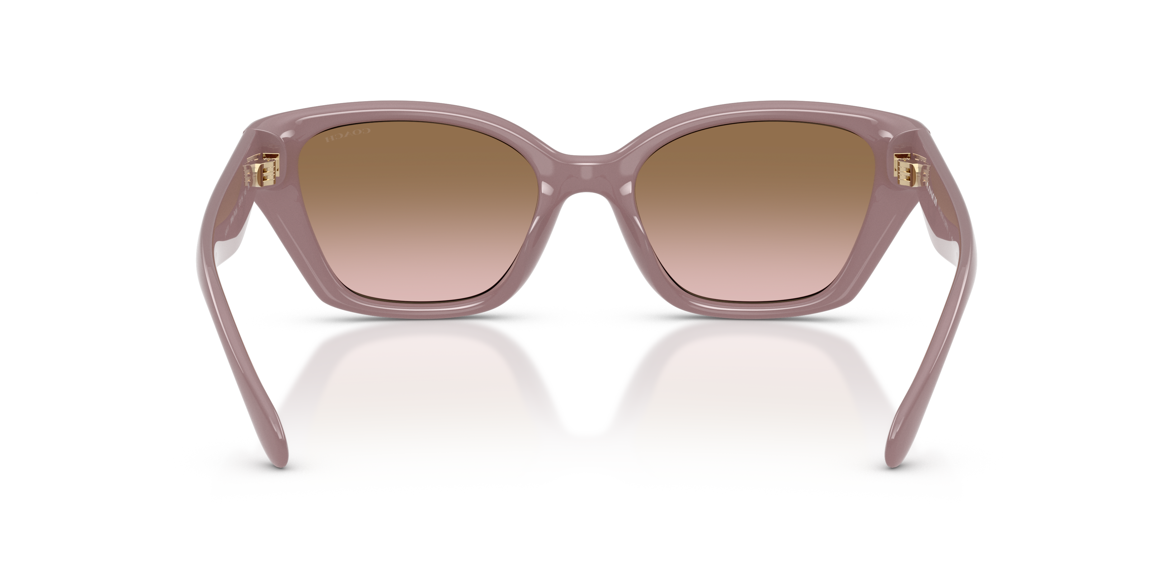 Coach HC8434U CBY91 Geometric Sunglasses - Black