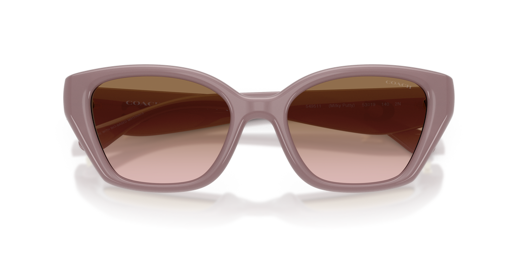 Coach HC8434U CBY91 Geometric Sunglasses - Black