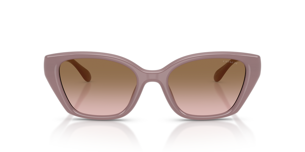 Coach HC8434U CBY91 Geometric Sunglasses - Black