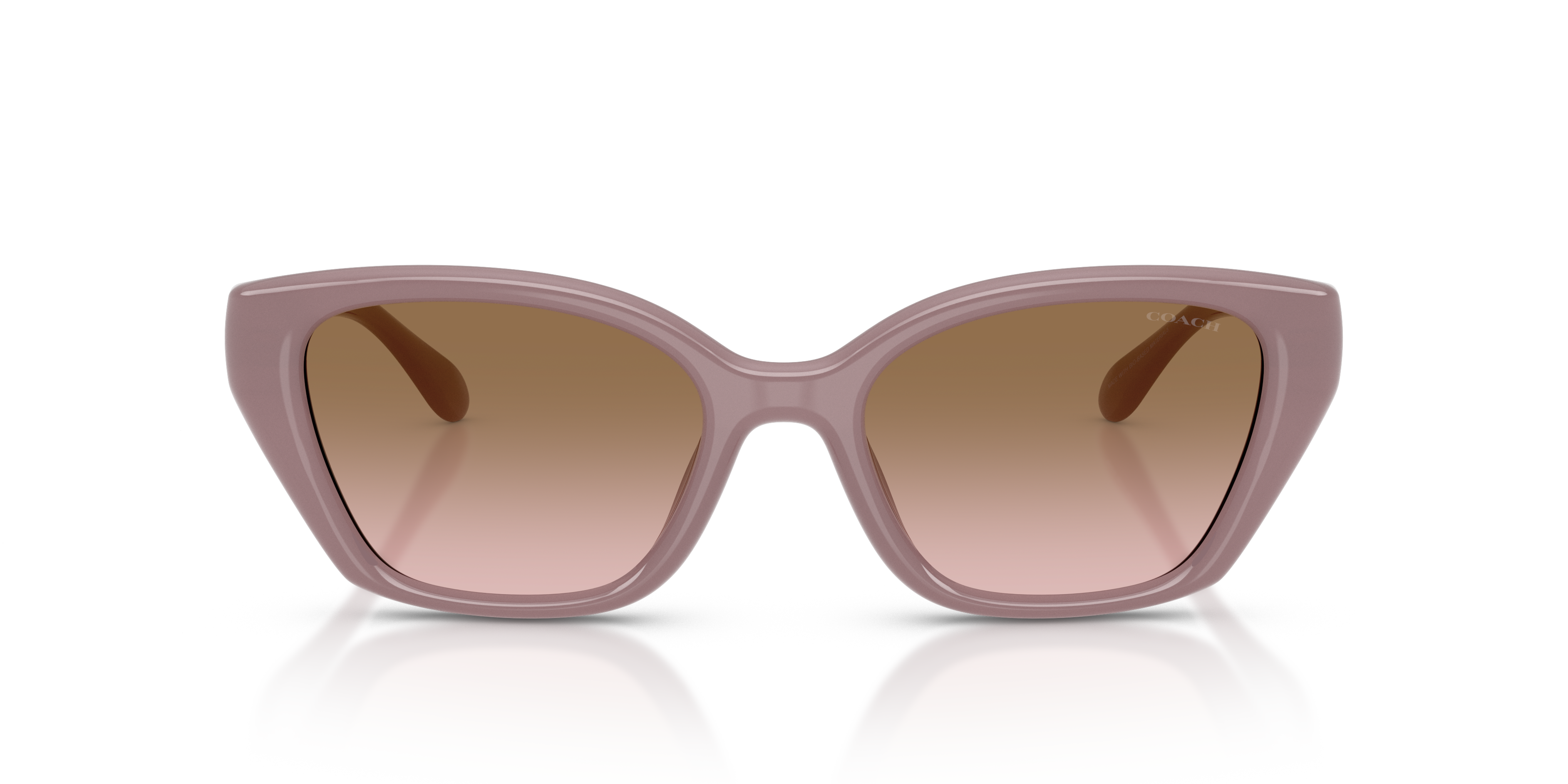 Coach HC8434U CBY91 Geometric Sunglasses - Black