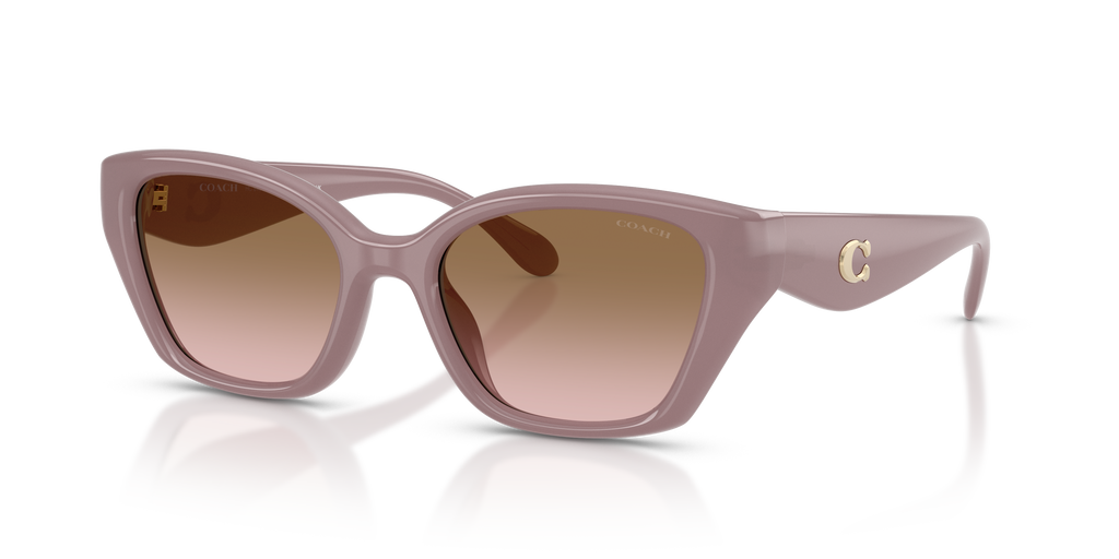Coach HC8434U CBY91 Geometric Sunglasses - Milky Putty