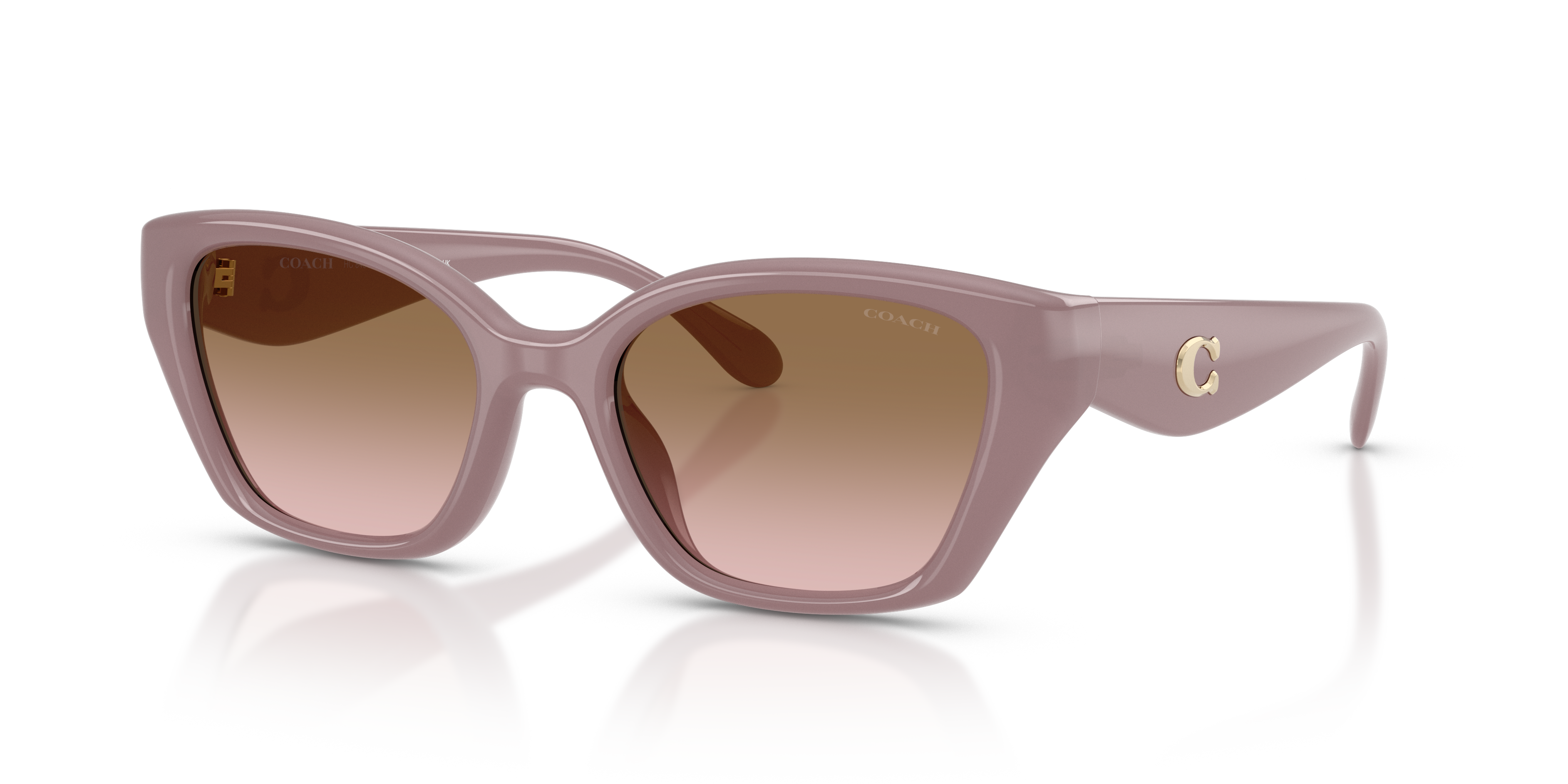Coach HC8434U CBY91 Geometric Sunglasses - Black
